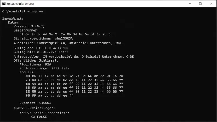 Zertifikatsdump im Kommandozeilenfenster